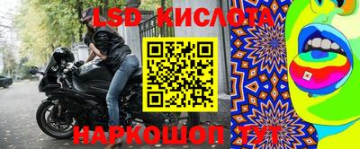PSILOCYBIN Новокубанск