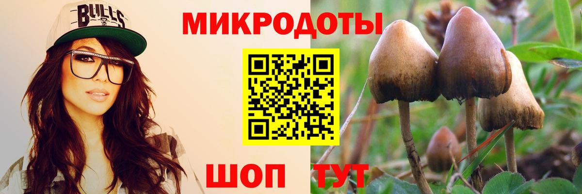 Галлюциногенные грибы Psilocybe  Галлюциногенные грибы Psilocybine cubensis  Урай  Вход с VPN 